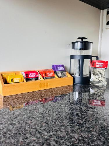 奧蘭季汽車旅館 (Aorangi Motel) in 費爾利