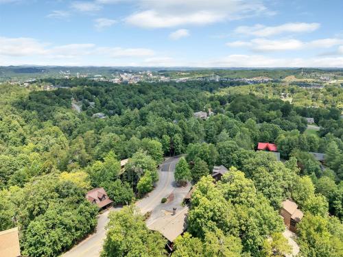 ER3 - Best of Both Worlds -Great location-Close to town cabin - image 12
