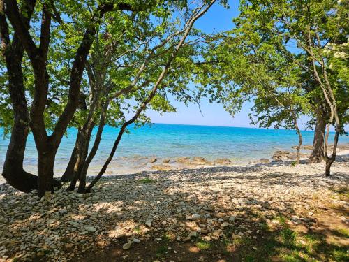 Strand, Apartma Park Učka (Apartma Park Ucka) in Cervar-Porat