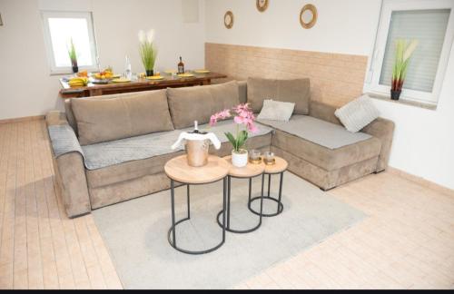 Villa Leona in Mali Ogradenik