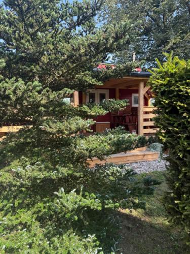 Tiny House Azyl Wolności