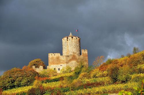 Gite du Vignoble