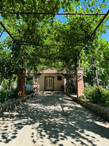 Villa Amore in ซิโตมิสลิซี