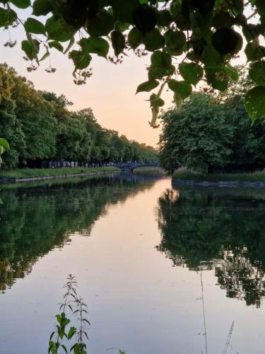 Quiet Family Apartment - 10 min to Center & Oktoberfest - Free Parking - near Nymphenburg Palace & Botanical Garden, Múnich (foto 9)