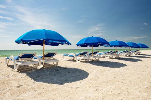 Sheraton Sand Key Resort - image 12