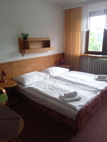 Hotel Certuv Mlyn, Zelezna Ruda, Sumava in Spicak