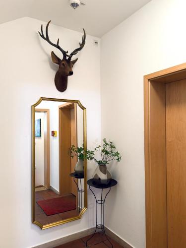 Hotel Stadtblick Friedberg in 弗里德貝格