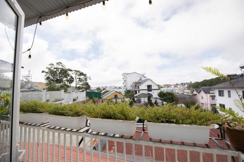 Blue Windy Đà Lạt Homestay - 주변 환경