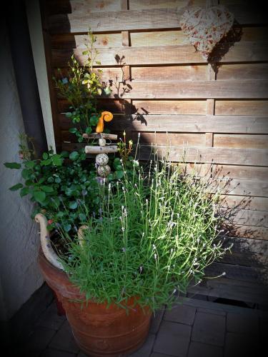Ferienwohnung Höfler - image 10