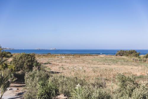 Studio Tolakis, Plaka (foto 4)
