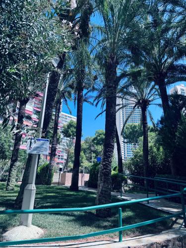 Araya Apartments