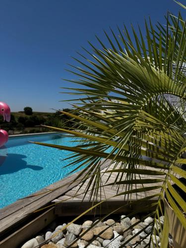 Domaine Horizon, Toulouse (photo 8)