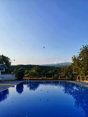 Басейн, Villa Angelco in Novo Selo