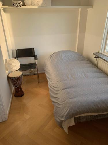 Rymlig ljus lägenhet i lugnt område nära centrum (Rymlig ljus lagenhet i lugnt omrade nara centrum) in Boras City Center