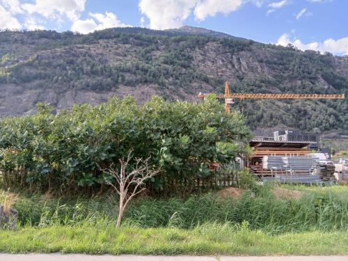 Hotel Garni in Brig
