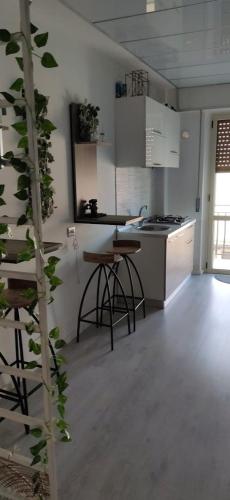 Dame – Crotone, NV