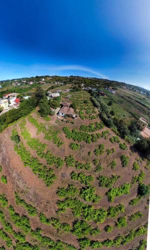 Finca Mamposo