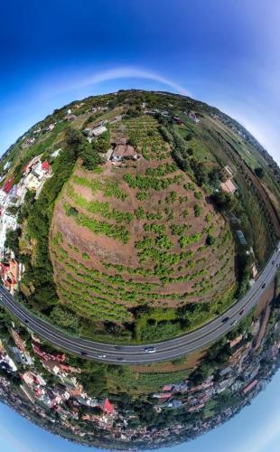Finca Mamposo