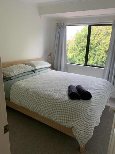 Sutherland Views, Mount Maunganui (foto 10)