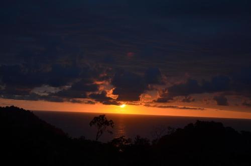 ทัศนียภาพภายนอกโรงแรม, Pura Natura Lodge in คิวพอส