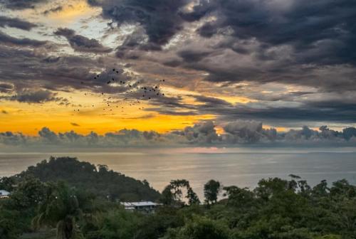 ทัศนียภาพ, Pura Natura Lodge in คิวพอส