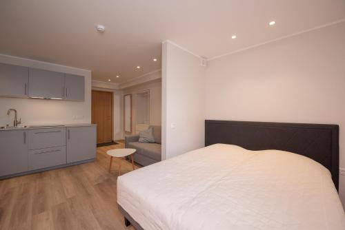 Roosikrantsi Studio Apartments, Tallinn (photo 2)