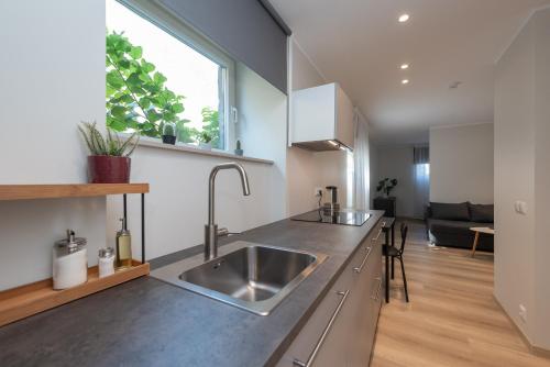 Roosikrantsi Studio Apartments in Tonismagi