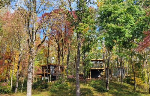 Piedmont Grove in Roseland, USA