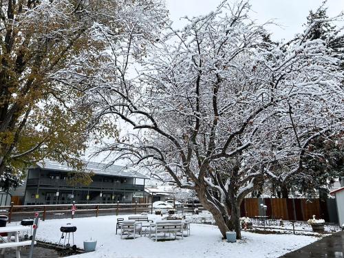 Healing Waters Resort and Spa – Pagosa Springs, CO