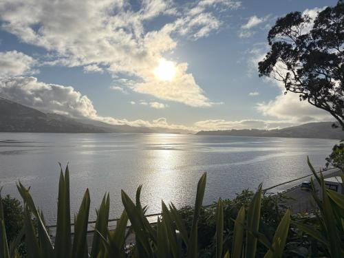 Sunny Waterfront Apartment in Macandrew Bay