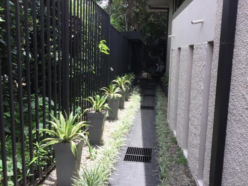 Gitana Hermosa in Escazu