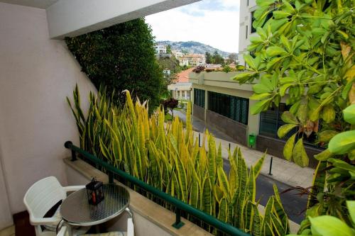  CatyBel Apartment in Funchal