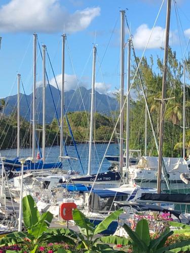 Key Caraïbe - Marina et Plage - Location saisonnière - Les Trois-Îlets