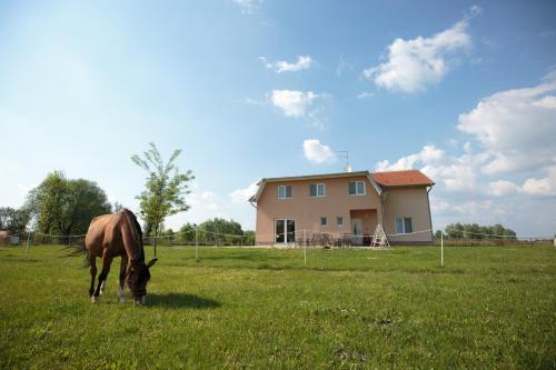 Létesítmények, Guesthouse Capistro in Kopacevo