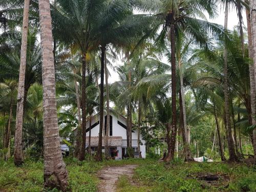 Vakantie Vila Wab in Kai Ketjil