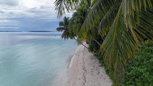 Vakantie Vila Wab in Kai Ketjil