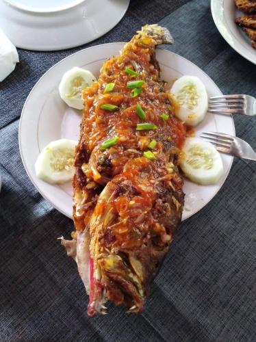 Vakantie Vila Wab in Kai Ketjil