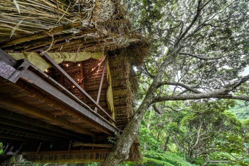 Yambaru Wild Treehouse Kidzy