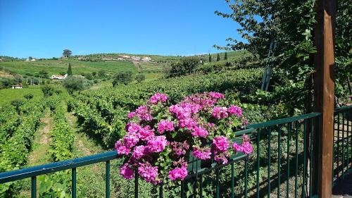  Douro Valley - Casa Vale do Douro in Lamego