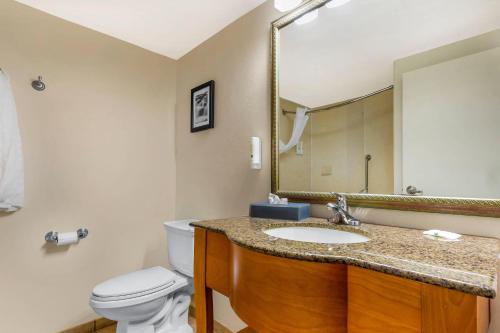Quality Inn Lumberton - image 11