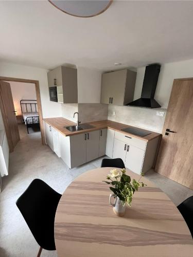 virtuve, Apartmány Žlutý dům (Apartmany Zluty dum) in Troskovice