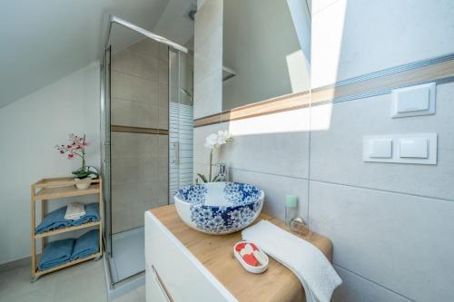 Dunajec Spa House