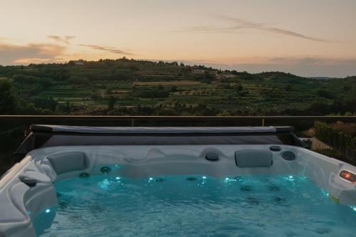 Karstais baseins, Luxury Villa Kim Momjan - Happy Rentals in Momjan