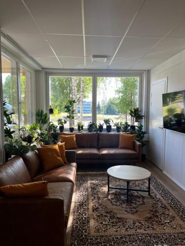 Jagatud salong / TV-ala, Academy Hotel Kemijärvi (Academy Hotel Kemijarvi) in Kemijärvi