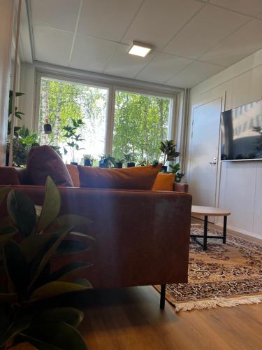 Jagatud salong / TV-ala, Academy Hotel Kemijärvi (Academy Hotel Kemijarvi) in Kemijärvi