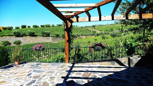  Douro Valley - Casa Vale do Douro in Lamego