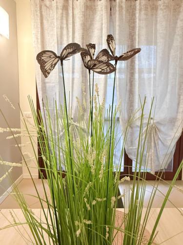 Deny & Carol's house - app. 33, Somma Lombardo (foto 6)