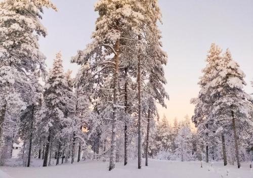 Hotelli Sodankylä - image 3