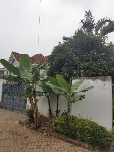 House 21,Cedar Groove