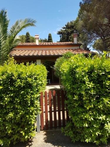 Basement apartment in holiday home - Marina di Cecina